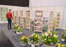 Opposite of Captain’s booth some space was left empty, providing them the opportunity to expand their presentation even a bit more.